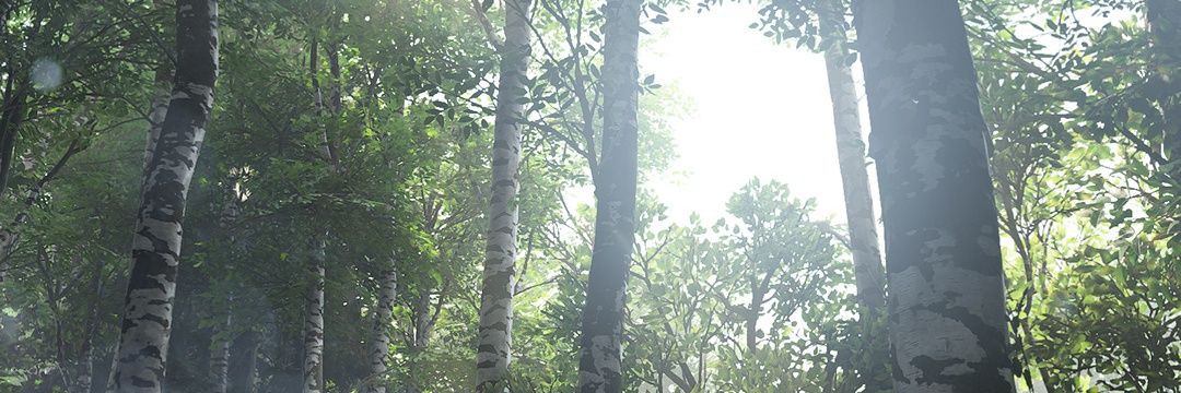 Joseph Madrid banner