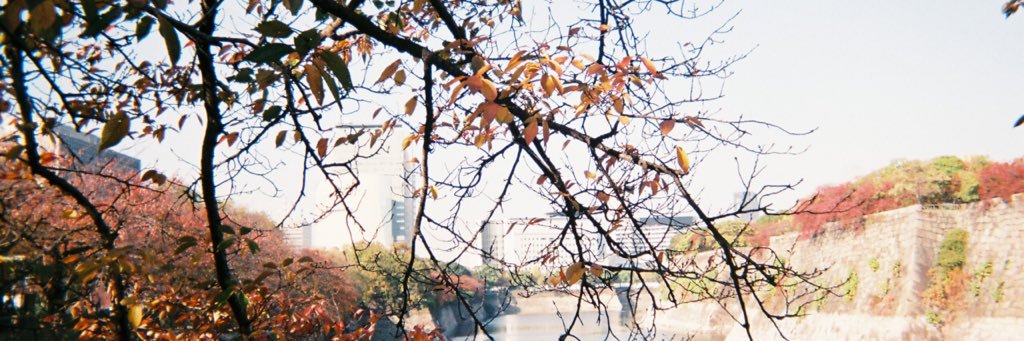 nattaoon's profile banner image