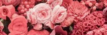 zheng1034's profile banner image