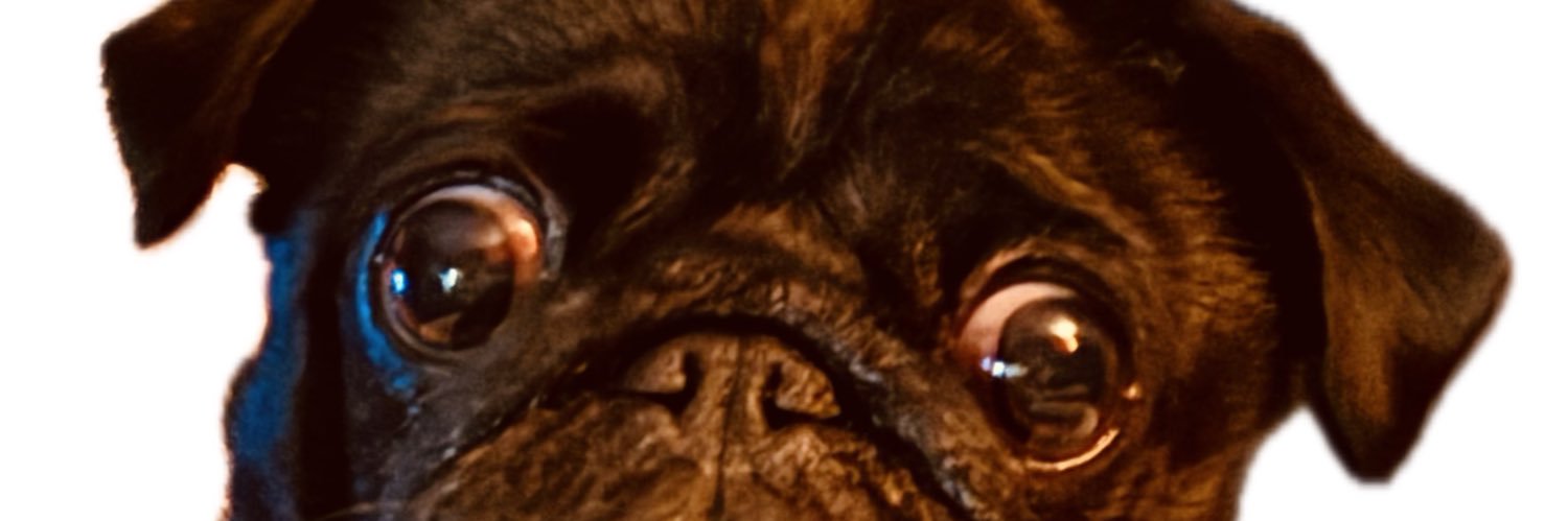 Sparkysue 👽👾🛸 banner