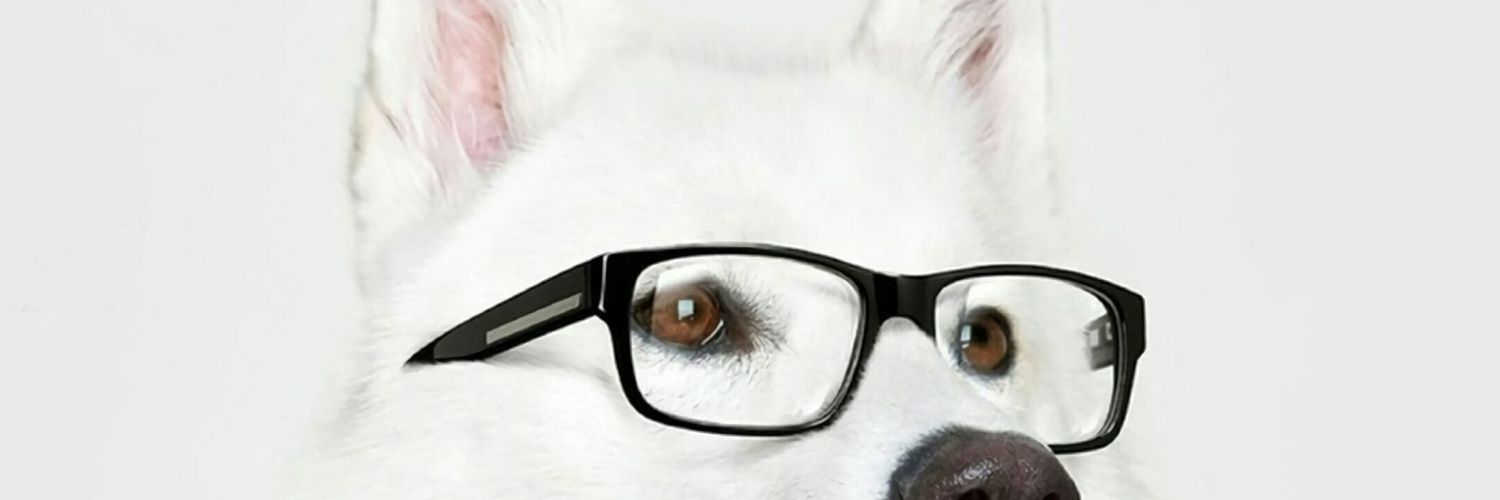 AlexandroWolfhe's profile banner image