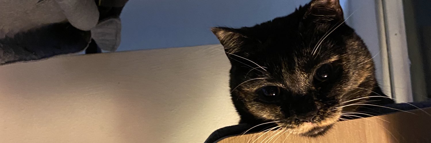 JayBLB's profile banner image