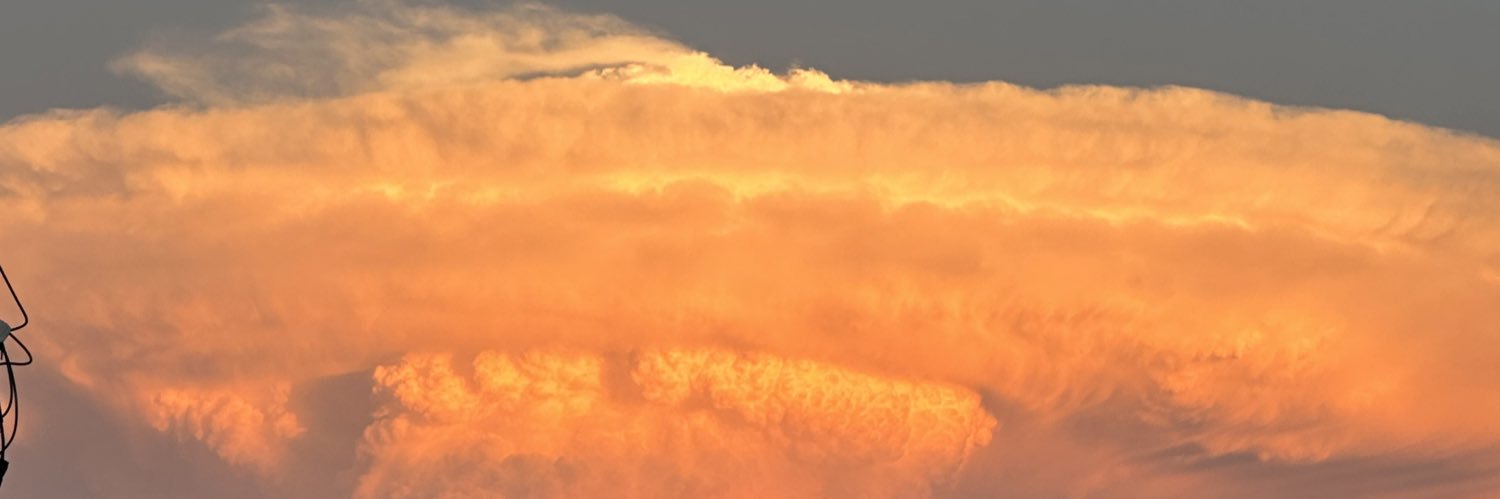 tempehtemplar's profile banner image