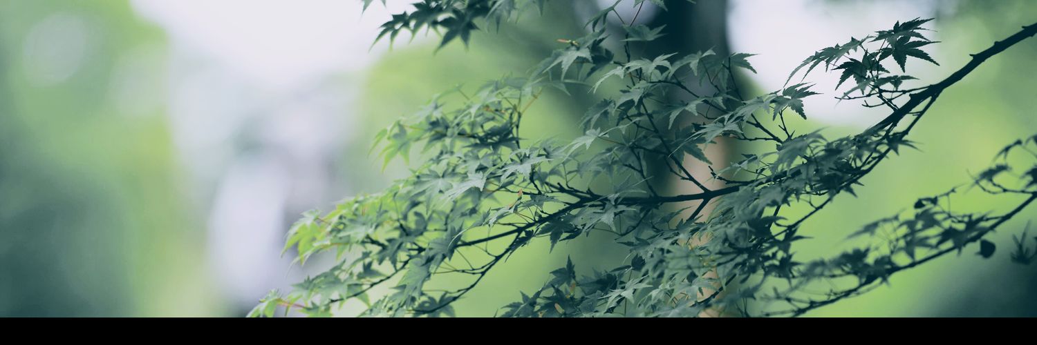 shigeclass's profile banner image