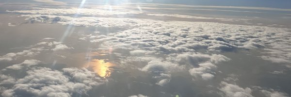 Sarcastir Profile Banner