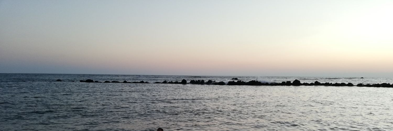 Martín Barillas banner