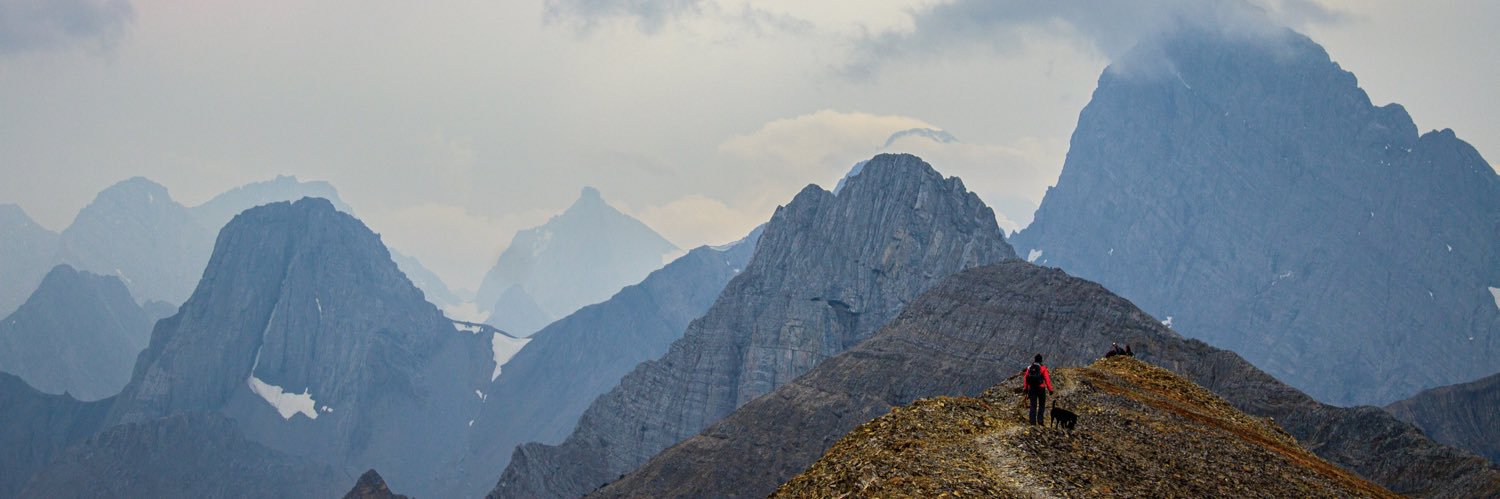 Josh Zablocki banner