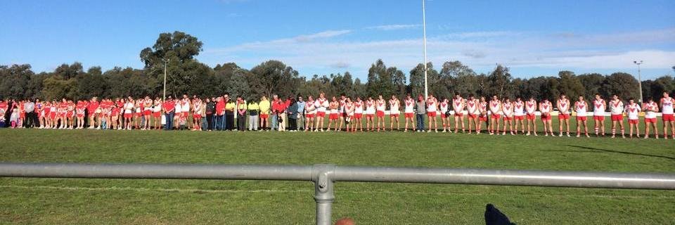 chiltern_swans's profile banner image