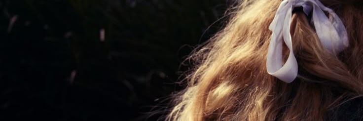 thatwendybird's profile banner image