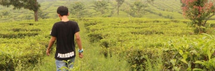 ahmaddSyarif's profile banner image