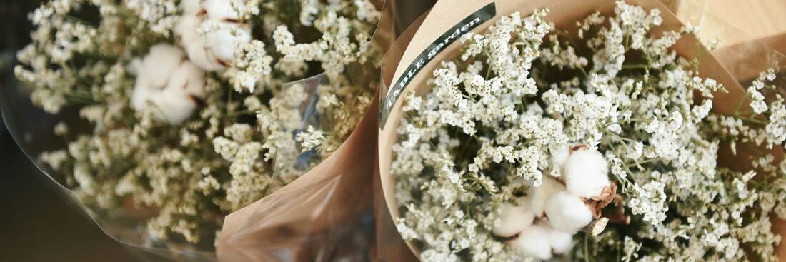 belll✿ banner