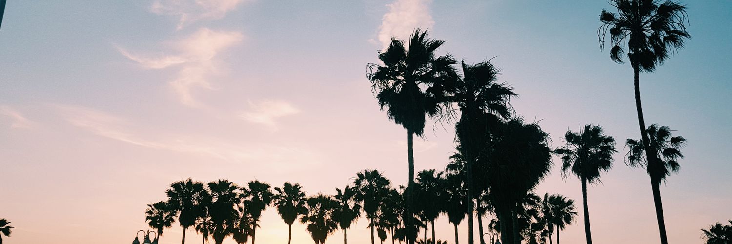 Serena Esposito banner