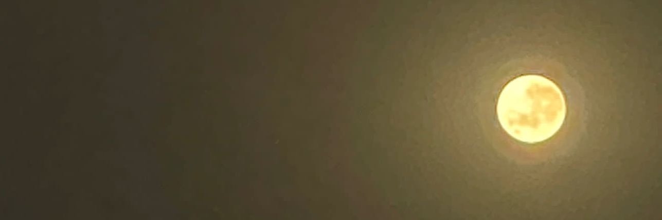 Mostafasco's profile banner image