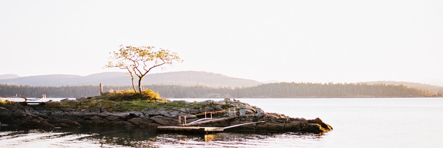 justintearney's profile banner image