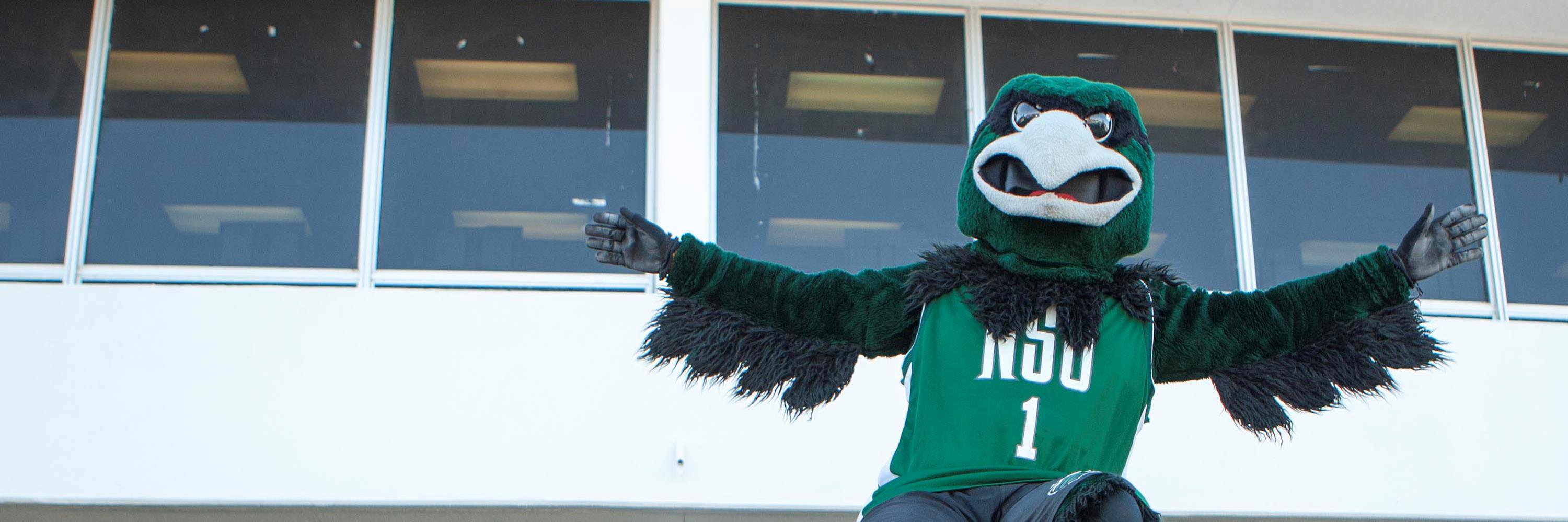 NSUOKLibraries's profile banner image