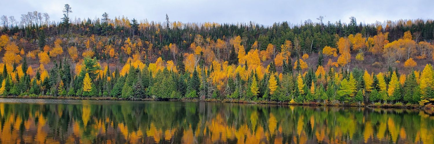 Brian Nystrom banner