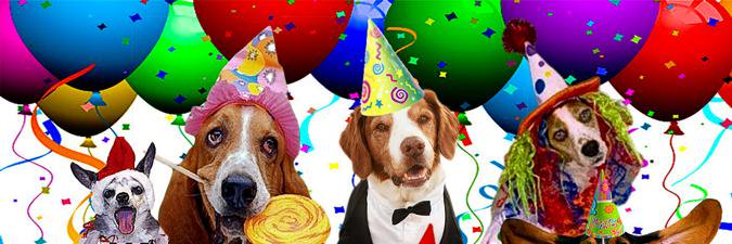 partyaccessoriz's profile banner image