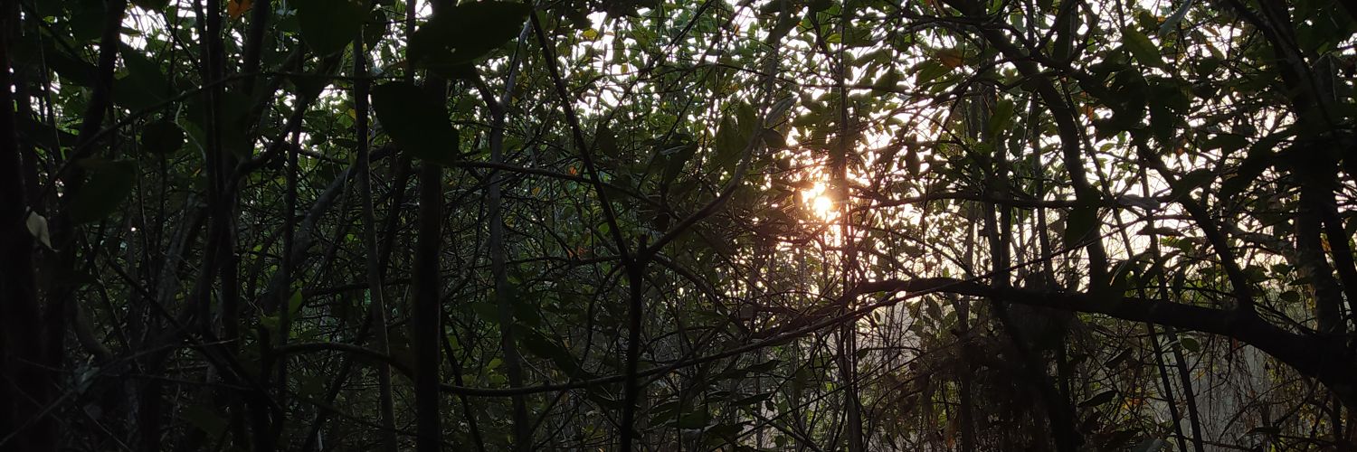 Pranith16's profile banner image
