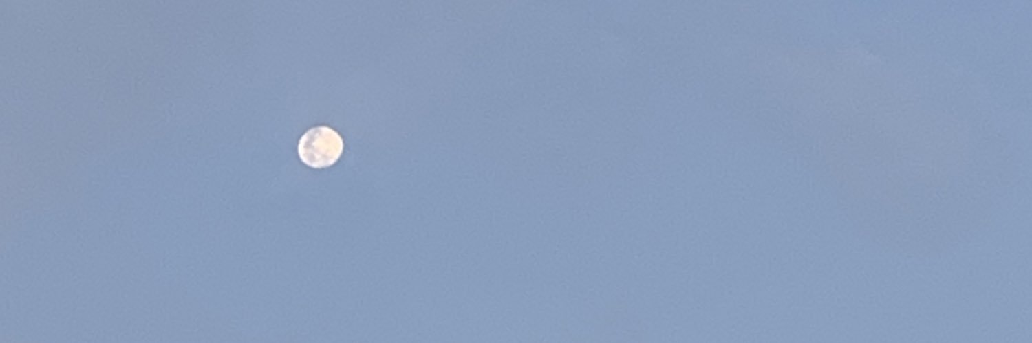 deeelizardo's profile banner image
