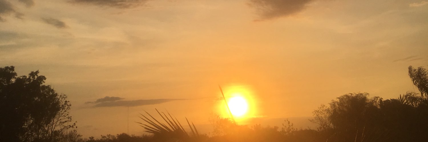 evihinday's profile banner image