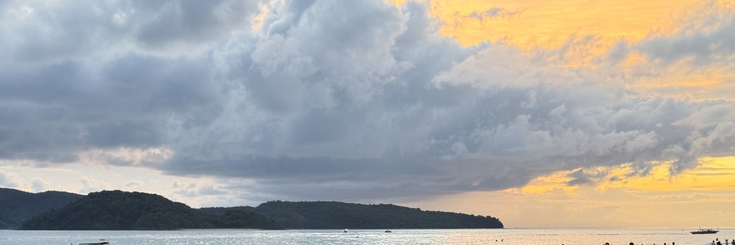 YangAdam's profile banner image