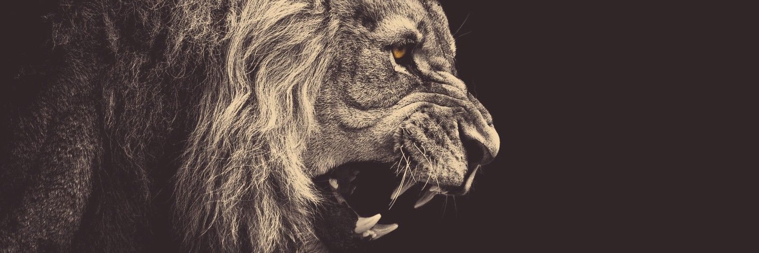 MendozaRay2's profile banner image