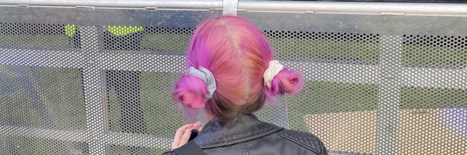 Lady Michelle 🌸 banner