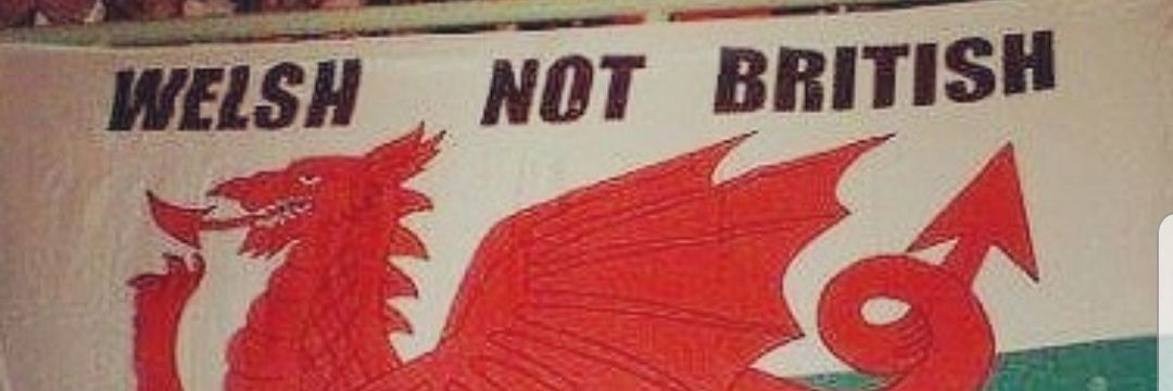 Dylan Roberts's banner