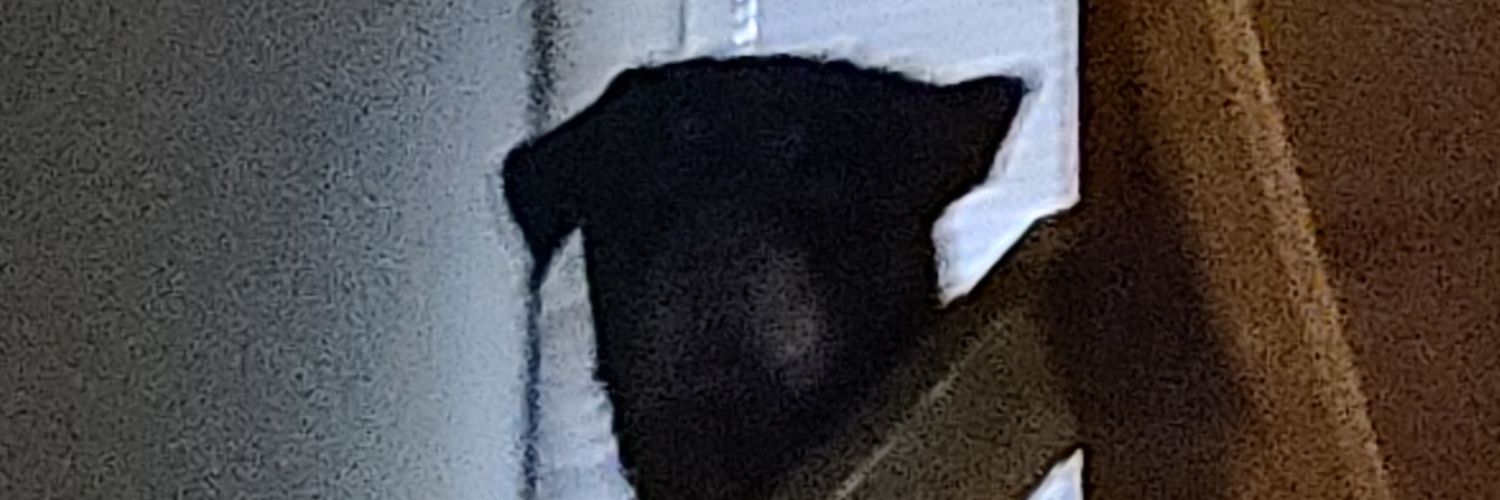 limb_less's profile banner image
