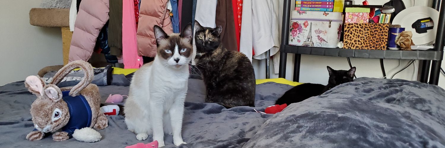 Diana Catherine Engelhardt banner