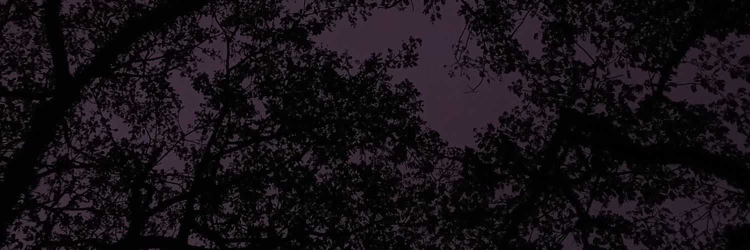 ShintaTriarista's profile banner image