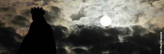 Royabzeid's profile banner image