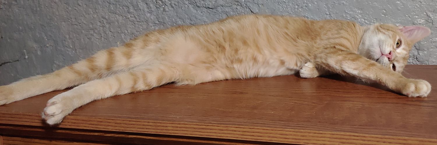 epicprawn's profile banner image