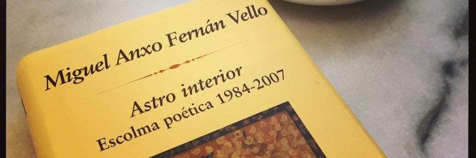 Miguel Anxo Fernán Vello banner