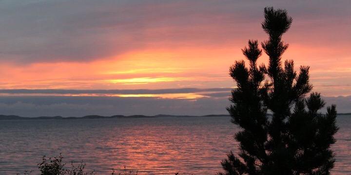 Elin Wikmark Darell banner