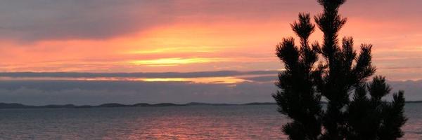 elindar Profile Banner