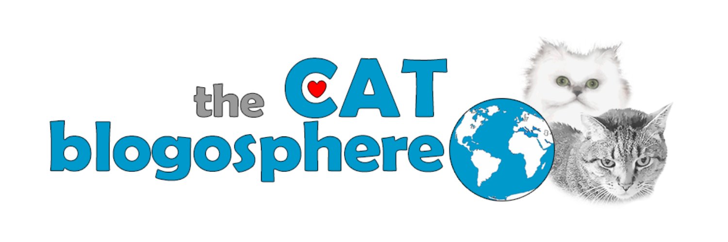 catblogosphere's profile banner image