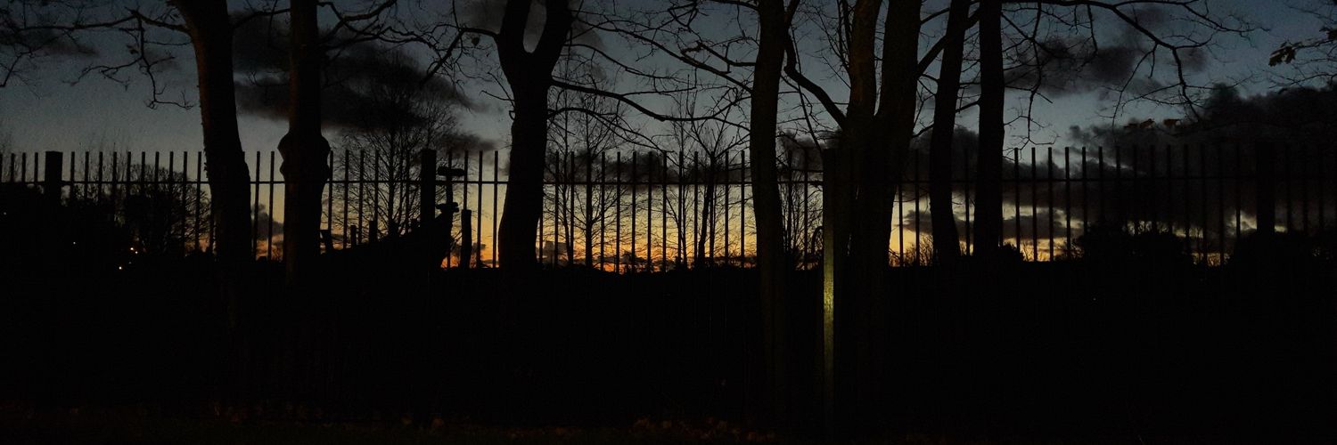 Dr Sharon Connor banner