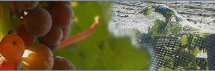 Michelle Melick banner