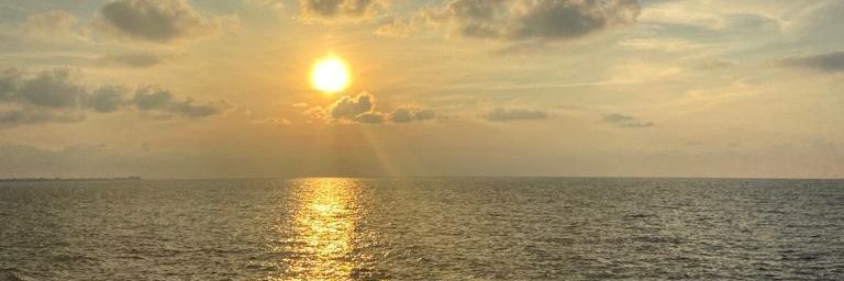 ildissima's profile banner image