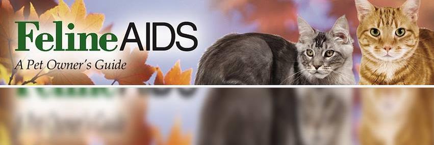 StopFelineAIDS's profile banner image
