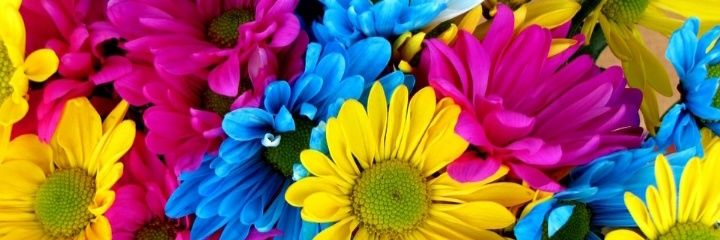 GodeffroyTembe's profile banner image