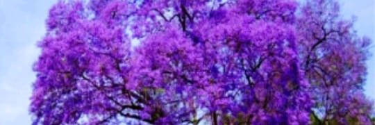 عبدالله الوعيلي banner