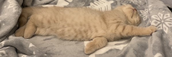 BakerTheBrit Profile Banner