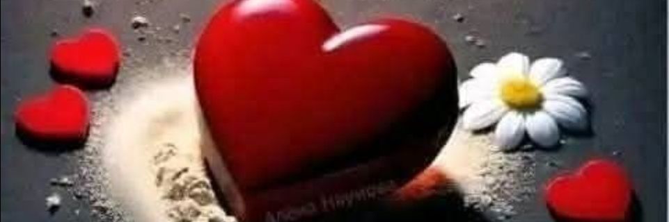 hsham69's profile banner image
