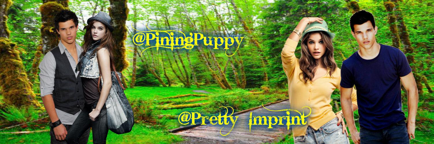 Pretty_Imprint's profile banner image