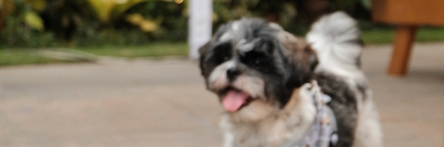 CHYNigang's profile banner image