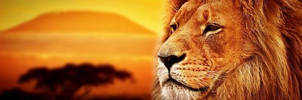 Dyuuke's profile banner image