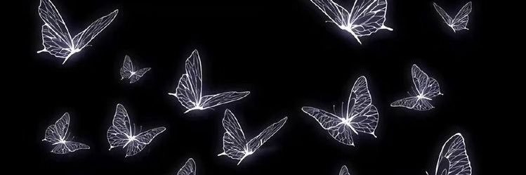 NuNu 🦋 banner