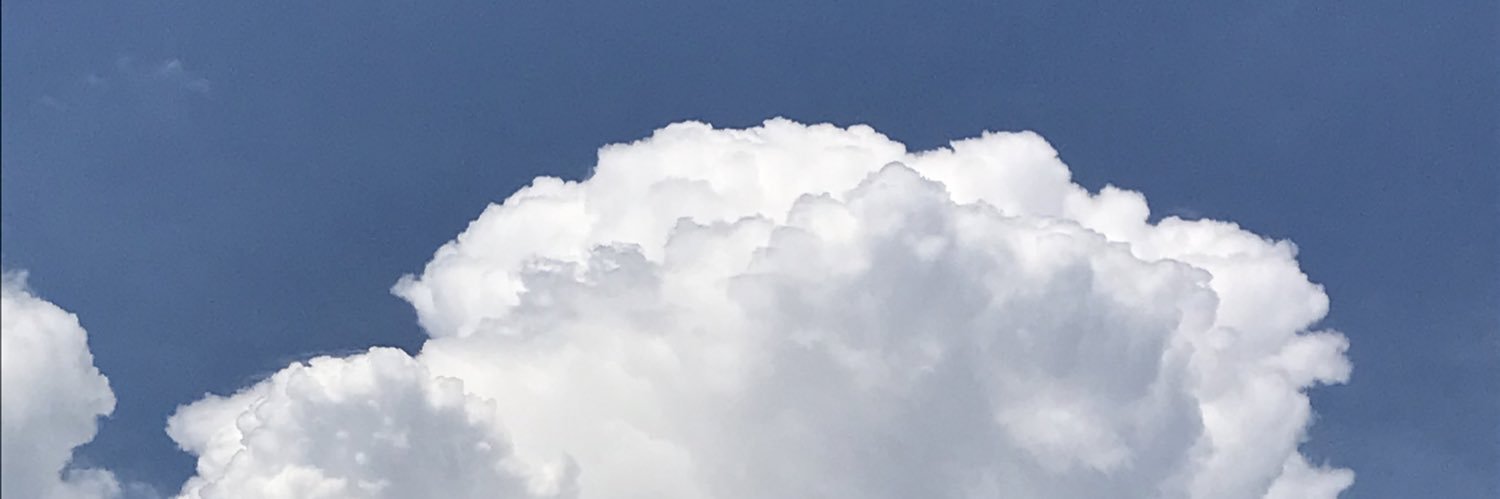 13picchi's profile banner image